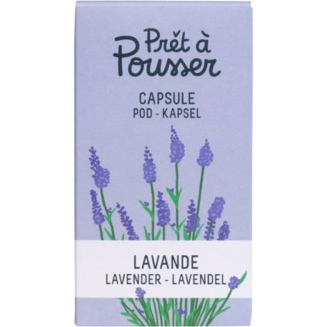 Pflanzenkapsel Lavendel