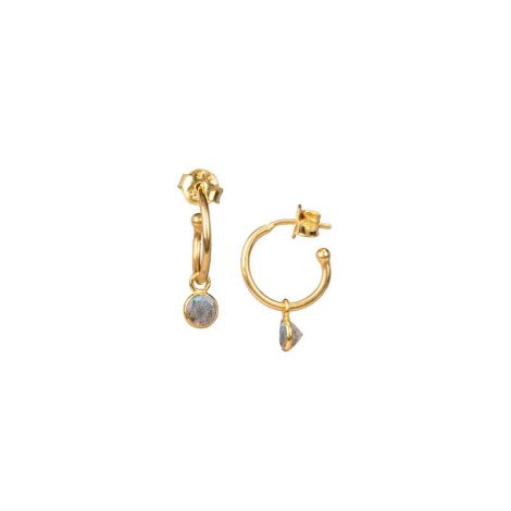 Hoop with Round Stone Drop Earrings Gold