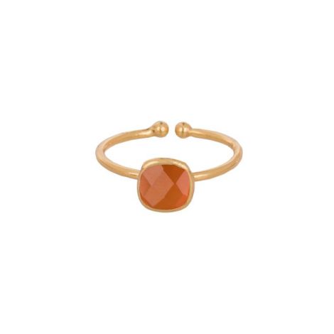 Small Rounded square bezel ring Gold